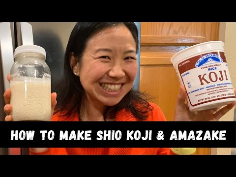 How to make shio koji and amazake easily at home! Healthy fermented foods!
