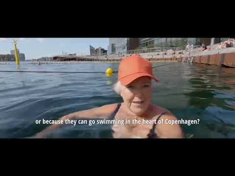 Preview: Denmark the State of Happiness