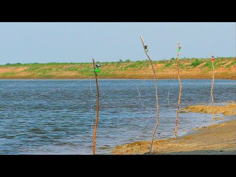 БЕШЕНЫЙ КЛЁВ САЗАНА НА ЗАКИДУШКИ. ТАК МНОГО Я ЕЩЁ НЕ ЛОВИЛ. Рыбалка на закидушки с макухой .
