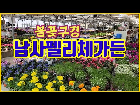 남사펠리체가든에서 식쇼핑하기🌺💮🌸🍀🌹 봄꽃구경  하세요~~