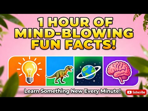 1 Hour of Fun Facts That Will Blow Your Mind! 🌎💡 | Random Facts Compilation