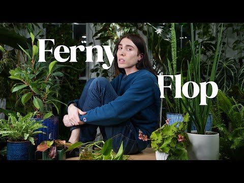 5 Reasons Being 'Aesthetic' is Overrated | My Failures as a Plant-fluencer 🌿