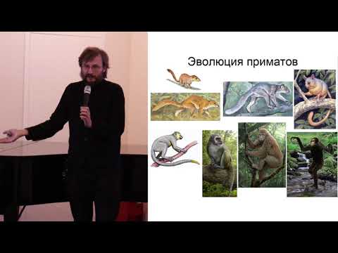 Дробышевский С.В. Происхождение человека. 05.11.2022 Лекторий ВЕРШИНЫ НАУКИ