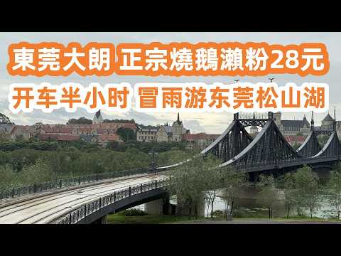 東莞大朗！正宗燒鵝瀨粉28元！燒鵝拼排骨飯35元！開車半小時！冒雨游東莞松山湖！美食旅遊攻略！飲特價咖啡！附近樓價！靚景億元豪宅！大灣區美食Vlog！Canton Food Tour｜DongGuan