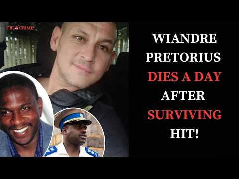 Wiandre Pretorius: Third Man at Murder Scene of Emmanuel Mbense That Died | Madlanga Commission