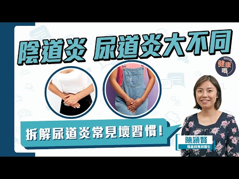 尿道炎 陰道炎大不同 憋尿會憋出腎病？！ ｜加強清潔可預防尿道炎？ 尿道炎有天然療法？｜一種補充品比蔓越莓更能加快療效｜健康嗎@HealthCodeHK【Chat醫D】
