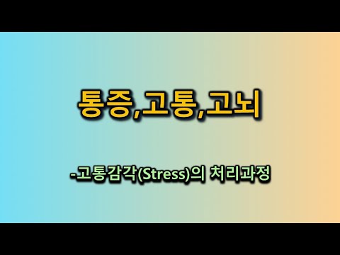 통증, 고통, 고뇌-고통감각(Stress)의 처리과정