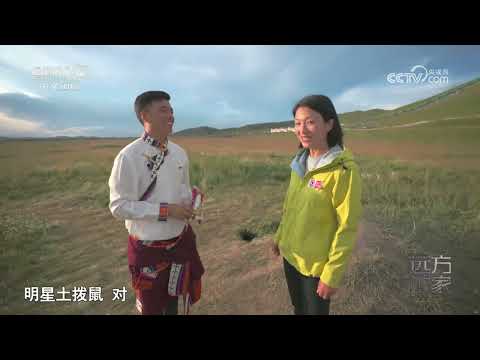 《远方的家》 20231117 山河锦绣看中国 大河弯弯向东流|CCTV中文国际