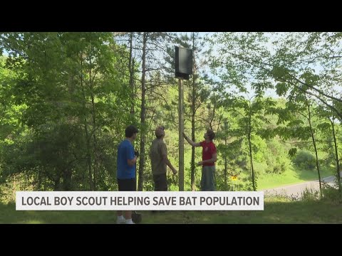 Boy Scout builds bat boxes to install in West MI parks