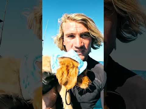 24 Hours Eating Only What I Catch With My Dog