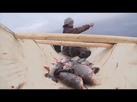 The hostess of taiga. Part 1 | S Polem! (Successful Hunt!)