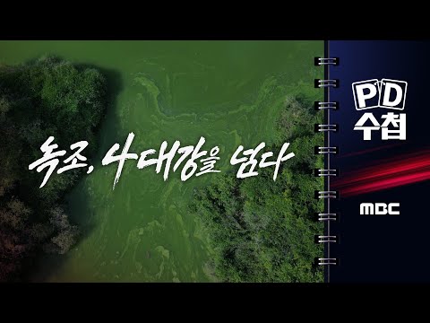 [PD수첩] 녹조, 4대강을 넘다 - 2025년 9월 30일 밤 10시 20분 방송