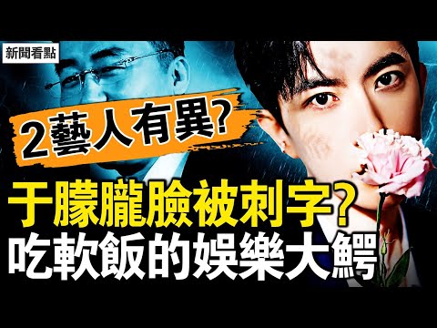 傳郭俊辰被獻祭，陳都靈露面有假？于朦朧臉被刺字？天娛對家遭暗算；水軍拼命攪渾水，女高管無懼邪惡；娛樂大鰐被開盒，吃軟飯爬上高位【新聞看點 李沐陽11.7】