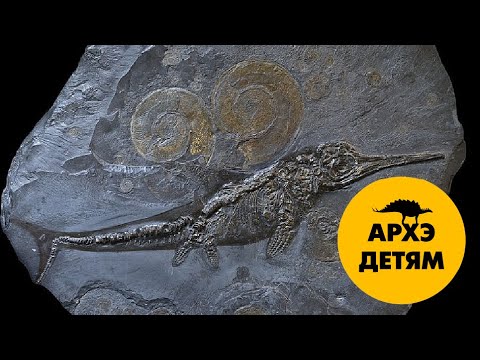 Акулы, ихтиозавры и дельфины — братья по разному| Ярослав Попов (выпуск 7)