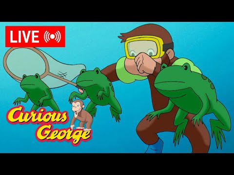 🔴 LIVE Curious George 🐵 Full Episode Marathon 🐵 George's Underwater Adventure! + MORE
