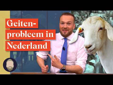 Hoe gevaarlijk zijn geiten voor mensen? | LUBACH