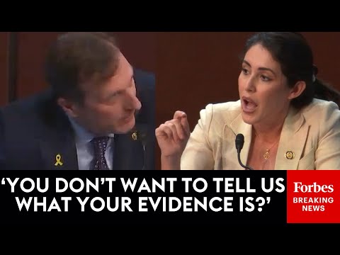 JUST IN: Luna's Grilling Of Sanctuary Govs Interrupted By Goldman Leading To Rapid-Fire Argument