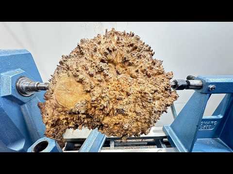 Possibly The Best Wood EVER!!