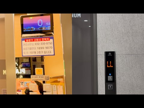 [L층 / 엘 층입니다! / 0층] 인천광역시 부평구 쌍용 더 플래티넘 부평 티케이엘리베이터 탑사기