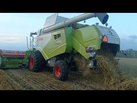 Уборка 2023 МТС Юбилейное Claas tucano 450 , John Deer 650, 660, 760.