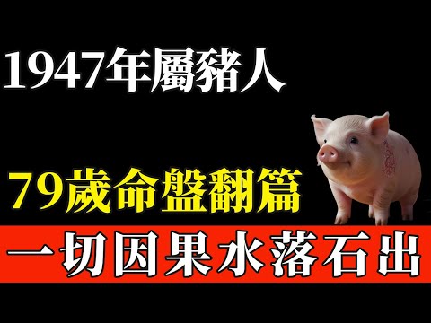 1947丁亥豬命,2026丙午太歲臨身,79歲命盤翻篇,一切因果自會水落石出。【般若之音】#生肖 #運勢 #風水 #財運#命理