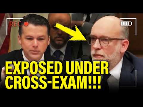 Trump Witness QUICKLY COLLAPSES under CROSS EXAM at HEARING!!