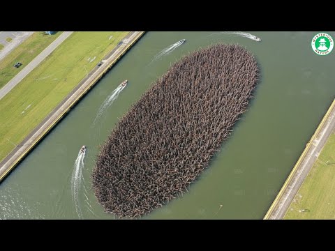 Mexico WANTS TO ABOLISH THE PANAMA CANAL - The Reason Behind It Has SHOCKED THE WORLD