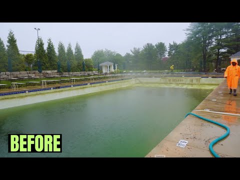 Restoring a Massive Pool From Total Ruin! 💀💧#pressurewashing  #timelapse
