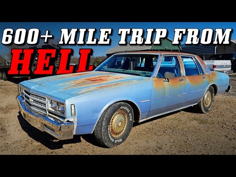 Will a CLAPPED OUT Impala Drive 600 MILES Home? - Bought Sight Unseen!