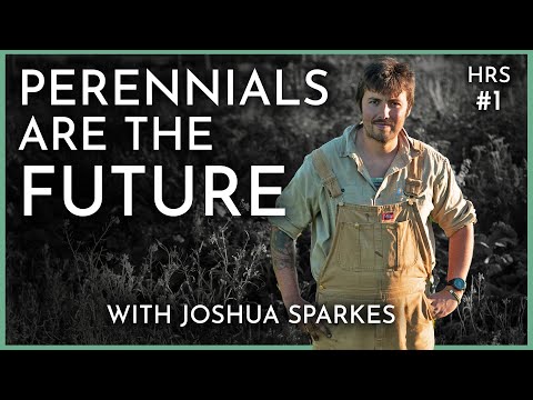 Natural Farming Pioneer: "We're quite extreme... perennials have replaced polytunnels"