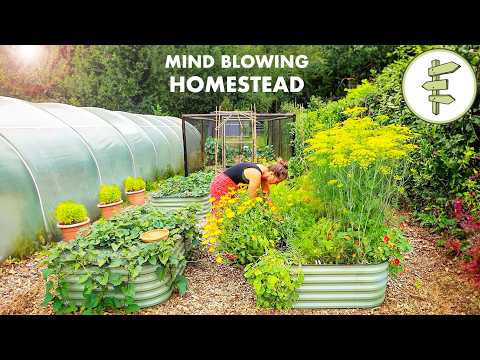 Self-Reliant Couple Growing 80% of Their Food on an Incredible Off-Grid Homestead!