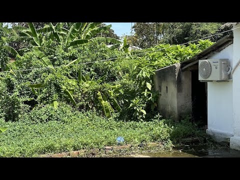 Easy Fun Quick Transformation with me cleaning the lawn and inspiring gardening