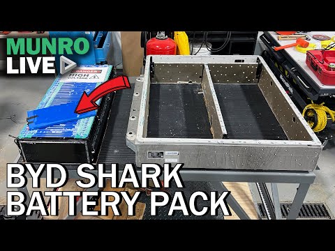Shark Attack! Breaking Down BYD’s Battery Pack