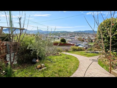 His Yard Has Never Looked This Amazing | Complete Garden Restoration!