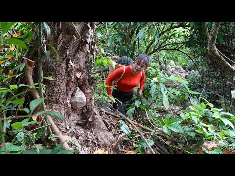 Living with Nature. Episode 581