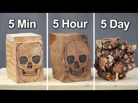 I Carved 3 Skulls - 5 Min. vs. 5 Hour vs. 5 Day