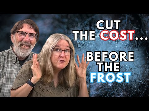 3 Big Expenses to Tackle Before the Year Ends