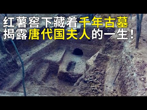 红薯窖下塌出大坑 勘探后发现竟藏着千年古墓 685字墓志 揭露千年前唐代国夫人的一生！——《奥秘2023》（7） 丨 中华国宝