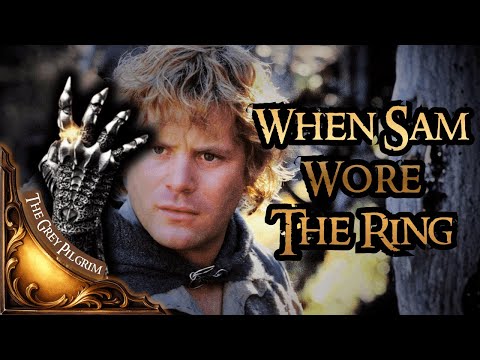 What REALLY Happened to SAM When He Wore the Ring