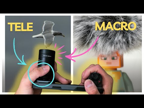 Neewer LS-79 Review telephoto and macro lens: so I couldn't afford the Reeflex 240
