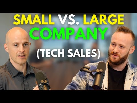Should You Work at a Small Startup or Large Tech Sales Company?