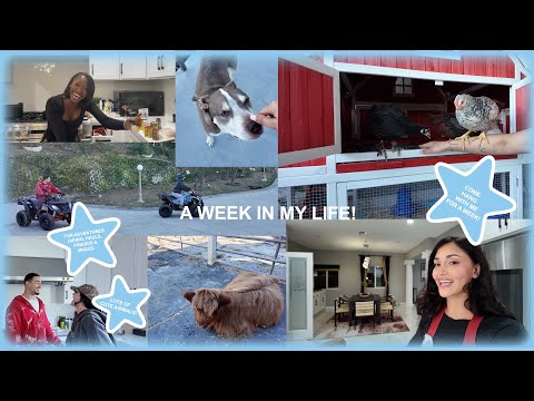 week in my life: calabasas edition⋆˚꩜｡