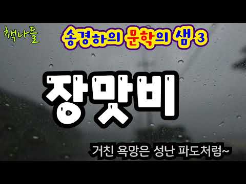 하루아침에 인생이 바뀐 남자 | 장맛비 | 송경하 단편소설 
