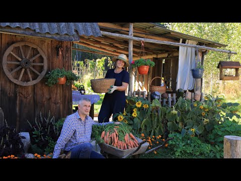 Traditional Life of a Village Family: Cooking Country Food and Harvesting Vegetables
