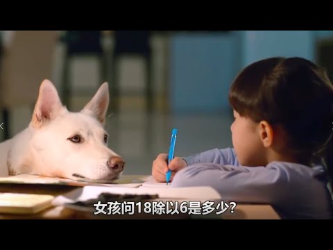 《我的流浪狗》女人意外捡了一只流浪狗，狗狗为了报恩，救了女儿一命！