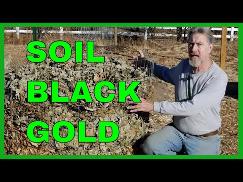 How to Make Leaf Mold (3 Methods)