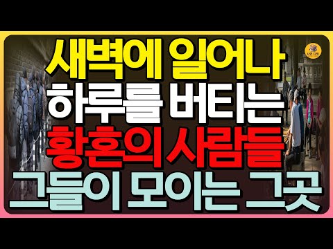 (반전실화) 하루를 버티기 위해 꼭두새벽에 일어나 그곳으로 향하는 외로운 노인들, 그들의 삶속에서 일어난 충격 반전실화 | 탑골공원 | 박카스 할머니 | 인생실화 | 사연오디오