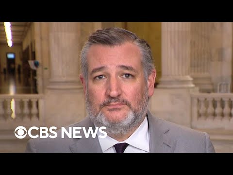 Ted Cruz says government shutdown inflicting pain on federal workers "for no point whatsoever"