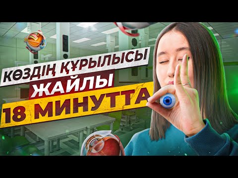 Көздің құрылысы жайлы 18 минутта | ҰБТ Биологиядан 2026 | ЕНТ