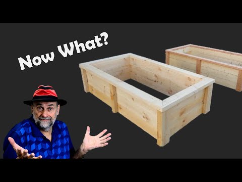 How to Fill Raised Garden Beds Properly